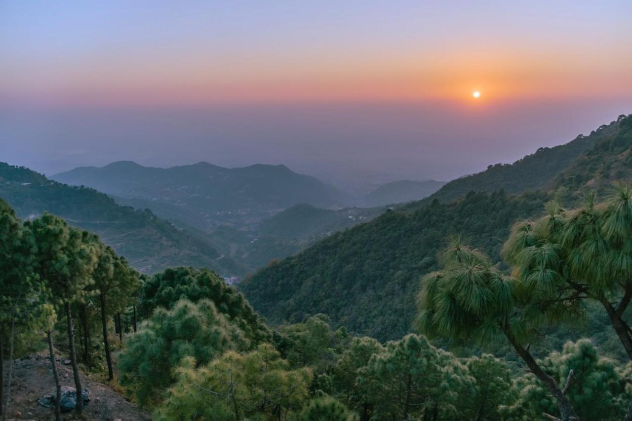 Apartamento Panormic View By The North Edge Kasauli Exterior foto